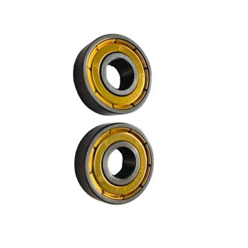 High Quality Nu 207 Ecp Bearing for Locomotive and Rolling Stock
