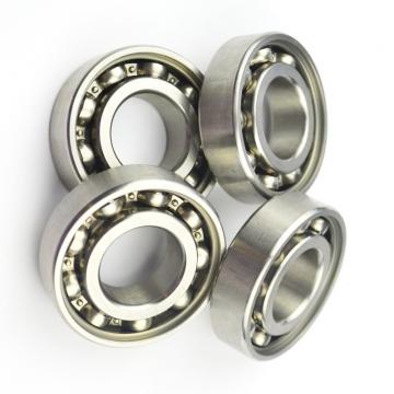 Corrosion Resistant Chrome/Stainless Steel Deep Groove Ball Bearing for Food/Beverage Machinery