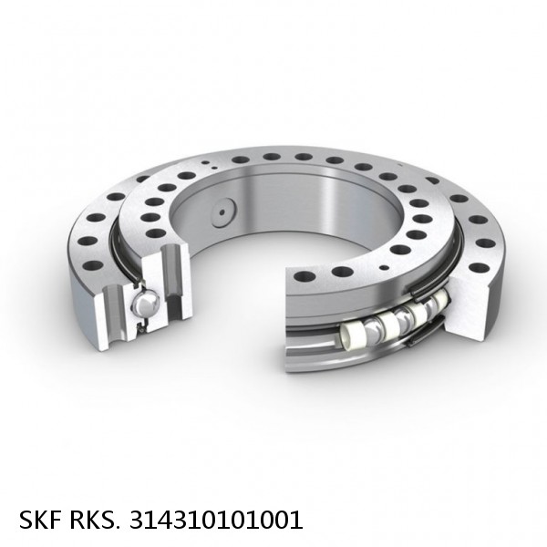 RKS. 314310101001 SKF Slewing Ring Bearings