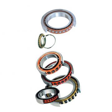 Wholesale High Quality Ceramic Bearings Skateboard Bearing with Silicon Shell