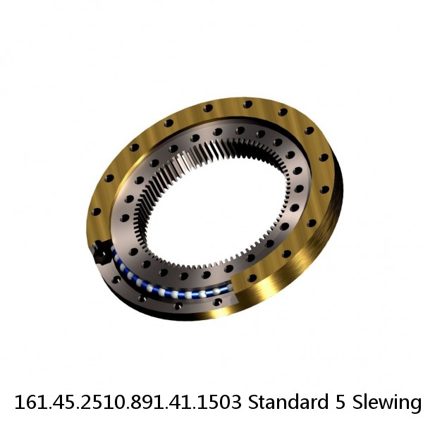 161.45.2510.891.41.1503 Standard 5 Slewing Ring Bearings