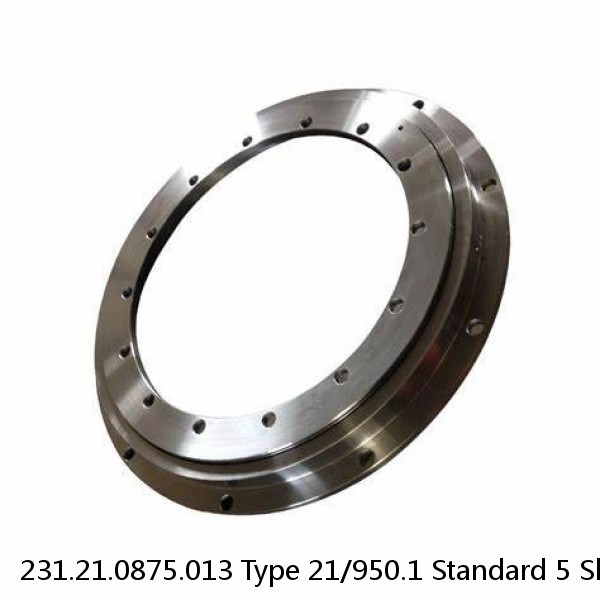 231.21.0875.013 Type 21/950.1 Standard 5 Slewing Ring Bearings