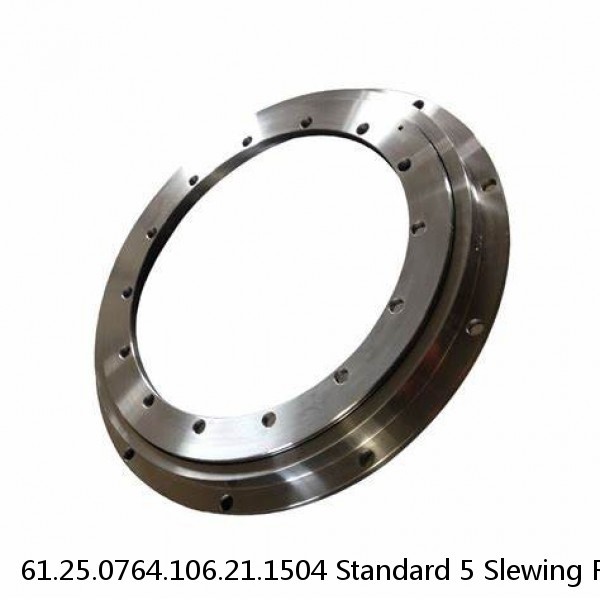 61.25.0764.106.21.1504 Standard 5 Slewing Ring Bearings