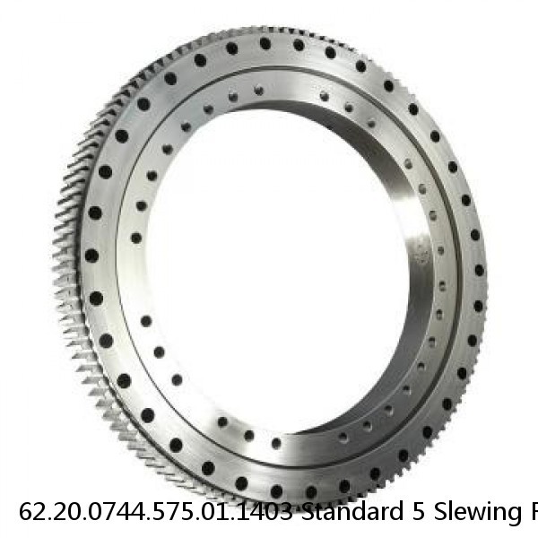 62.20.0744.575.01.1403 Standard 5 Slewing Ring Bearings