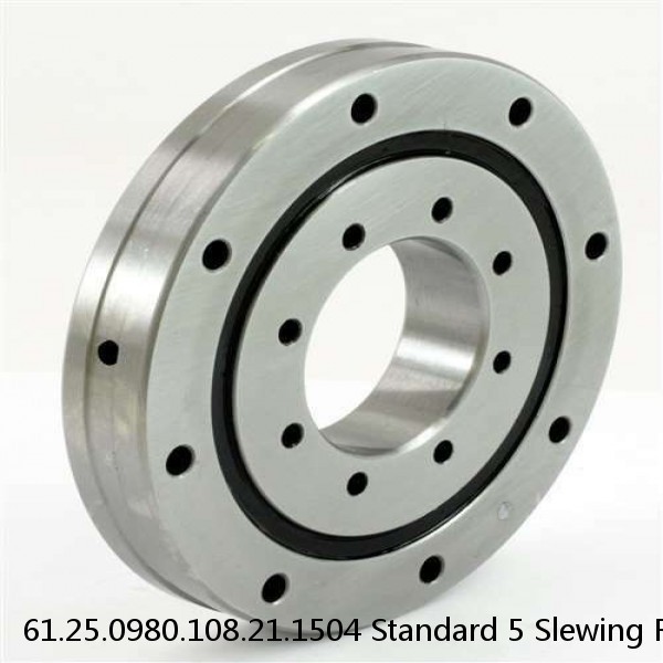 61.25.0980.108.21.1504 Standard 5 Slewing Ring Bearings