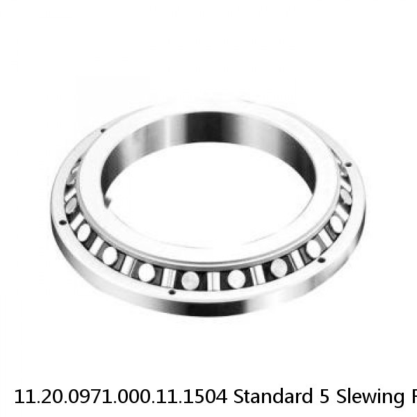 11.20.0971.000.11.1504 Standard 5 Slewing Ring Bearings