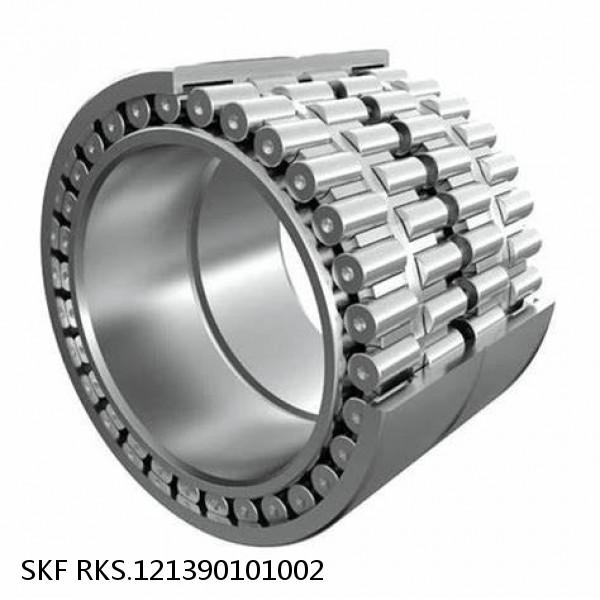 RKS.121390101002 SKF Slewing Ring Bearings