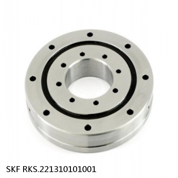 RKS.221310101001 SKF Slewing Ring Bearings