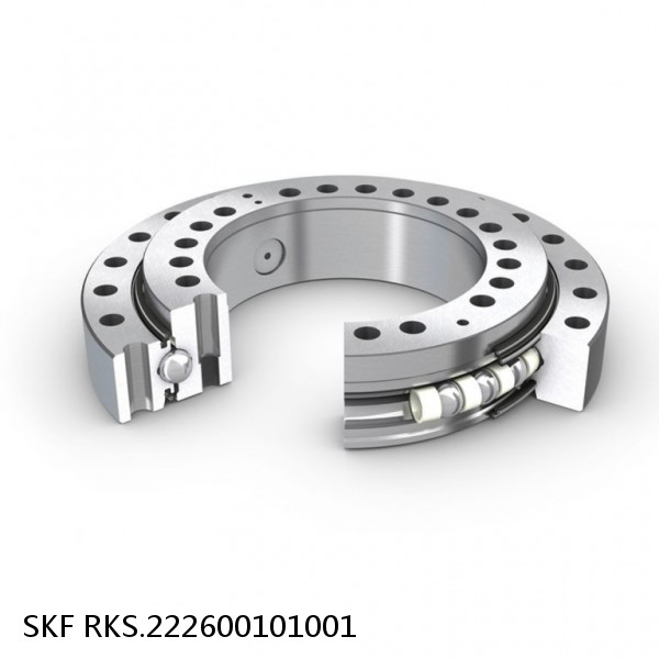 RKS.222600101001 SKF Slewing Ring Bearings