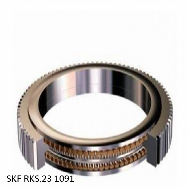 RKS.23 1091 SKF Slewing Ring Bearings