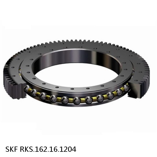 RKS.162.16.1204 SKF Slewing Ring Bearings