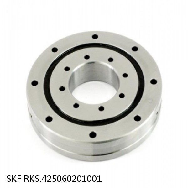 RKS.425060201001 SKF Slewing Ring Bearings