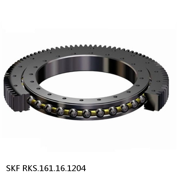 RKS.161.16.1204 SKF Slewing Ring Bearings