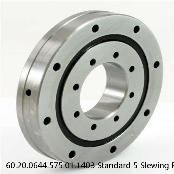 60.20.0644.575.01.1403 Standard 5 Slewing Ring Bearings