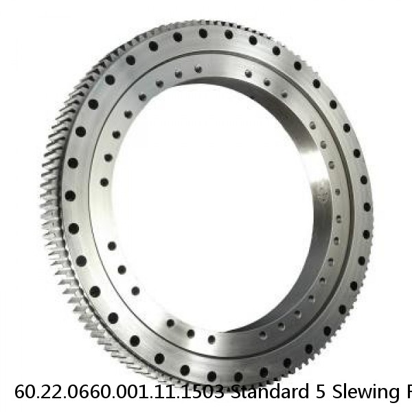 60.22.0660.001.11.1503 Standard 5 Slewing Ring Bearings