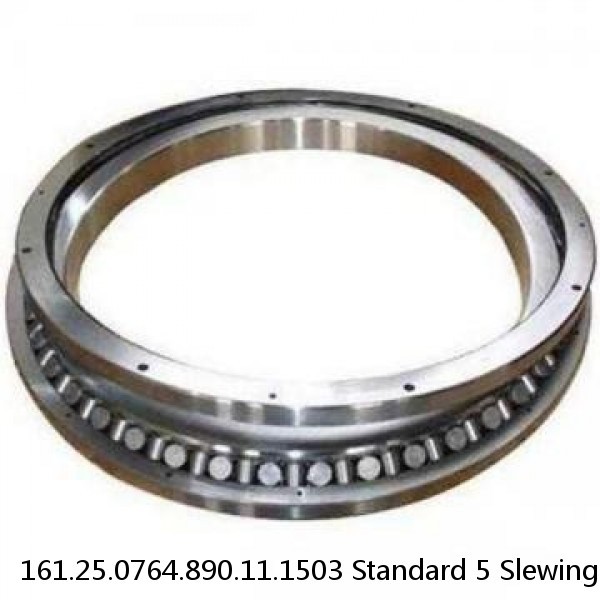 161.25.0764.890.11.1503 Standard 5 Slewing Ring Bearings