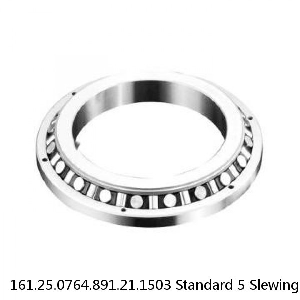 161.25.0764.891.21.1503 Standard 5 Slewing Ring Bearings