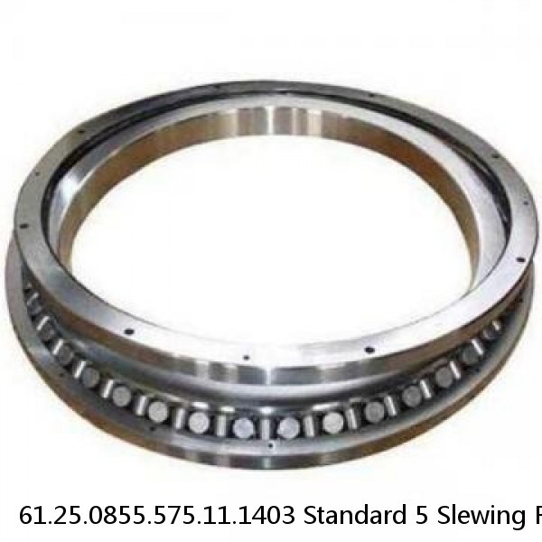 61.25.0855.575.11.1403 Standard 5 Slewing Ring Bearings