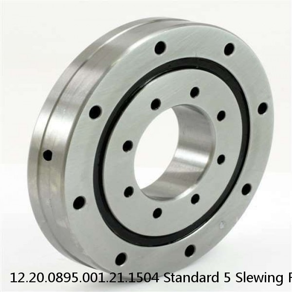 12.20.0895.001.21.1504 Standard 5 Slewing Ring Bearings