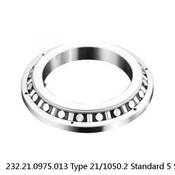 232.21.0975.013 Type 21/1050.2 Standard 5 Slewing Ring Bearings