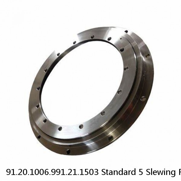 91.20.1006.991.21.1503 Standard 5 Slewing Ring Bearings