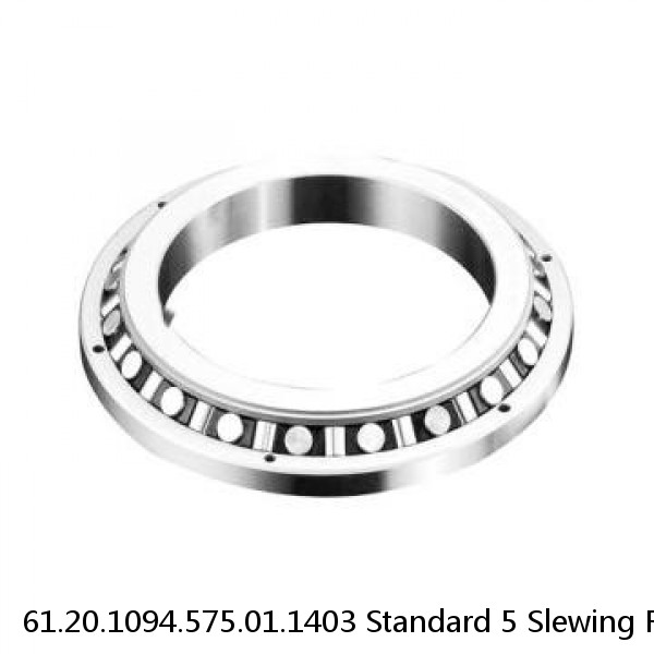 61.20.1094.575.01.1403 Standard 5 Slewing Ring Bearings