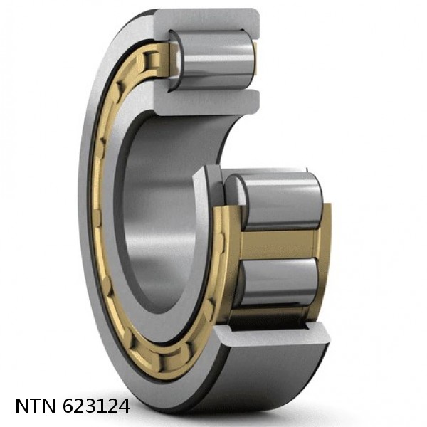 623124 NTN Cylindrical Roller Bearing